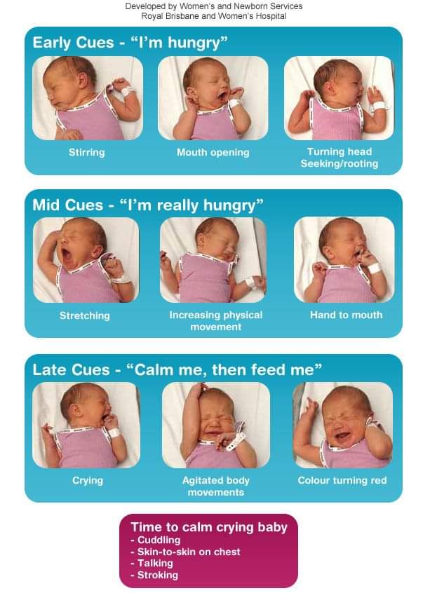 Early Cues - "I'm hungry"
stirring
mouth opening
turning head, seeking / rooting
Mid Cues - "I'm really hungry"
Stretching
Increasing Physical Movement
Hand to mouth
Late Cues - "Calm me, then feed me"
Crying
Agitated body movements
Colour turning red (this will not be visible in babies with brown or black skin)